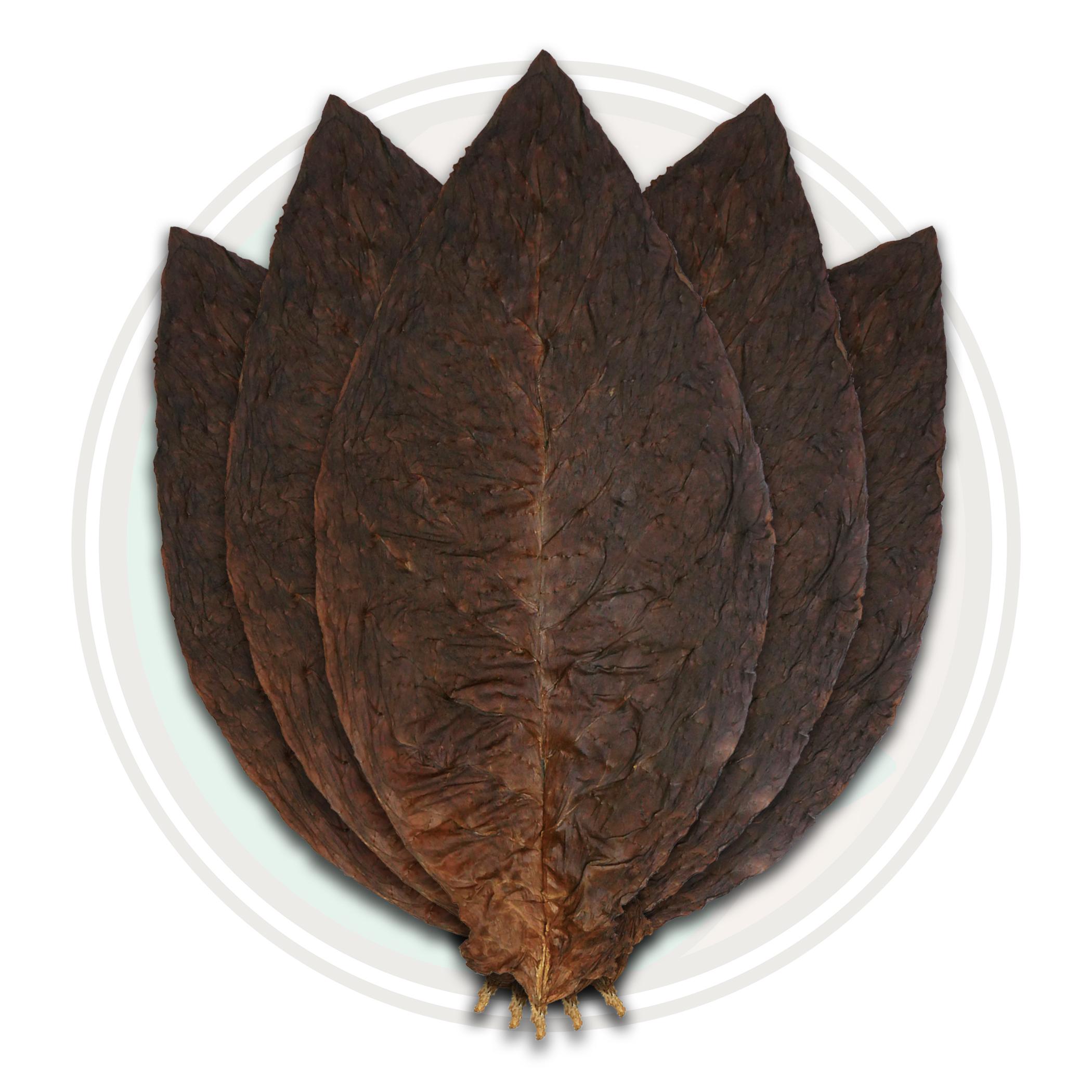 Connecticut Oscuro Cigar Wrapper Whole Leaf Tobacco Roll your own Cigar Leaf Only Connecticut Oscuro Cigar Wrapper Whole Leaf Tobacco Roll your own Cigar Leaf Only